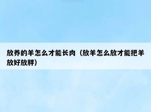 放养的羊怎么才能长肉(放羊怎么放才能把羊放好放胖)