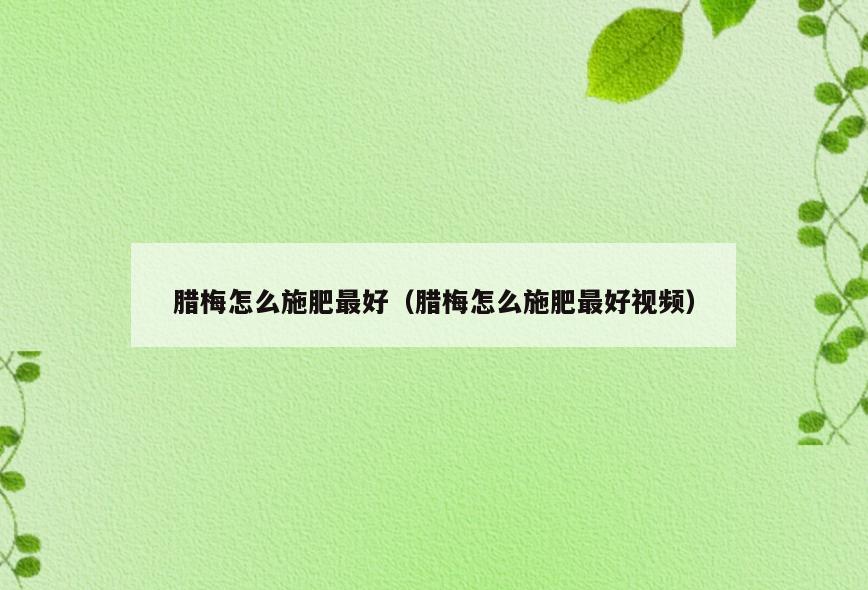 腊梅怎么施肥最好(腊梅怎么施肥最好视频)