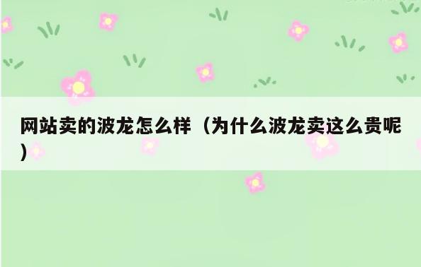 网站卖的波龙怎么样(为什么波龙卖这么贵呢)