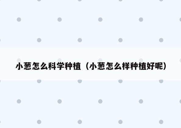 小葱怎么科学种植(小葱怎么样种植好呢)