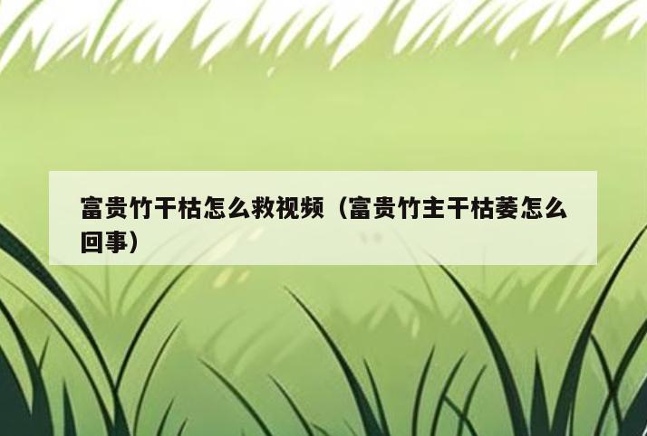 富贵竹干枯怎么救视频(富贵竹主干枯萎怎么回事)