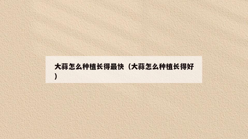 大蒜怎么种植长得最快(大蒜怎么种植长得好)