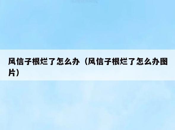 风信子根烂了怎么办(风信子根烂了怎么办图片)