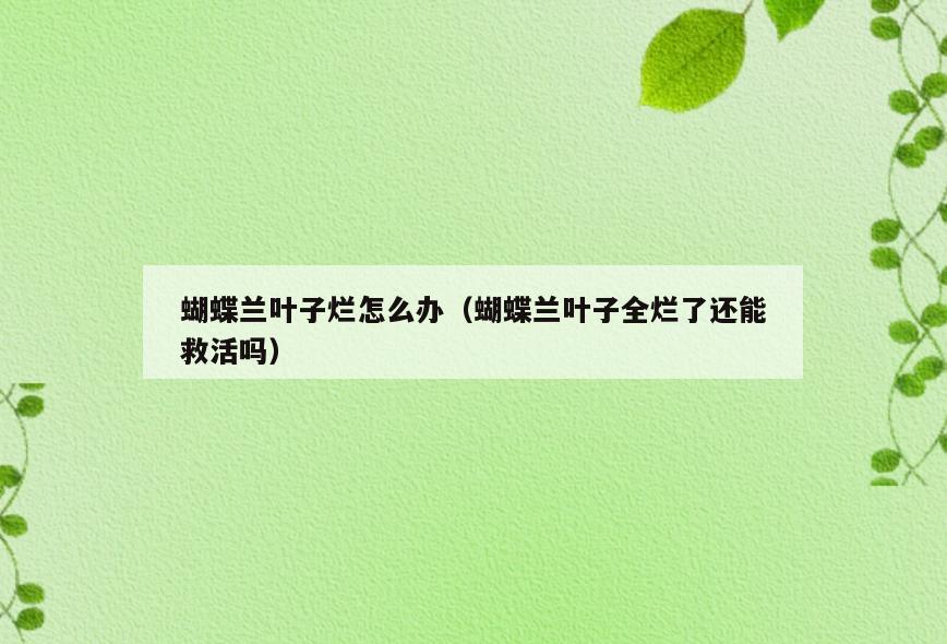 蝴蝶兰叶子烂怎么办(蝴蝶兰叶子全烂了还能救活吗)
