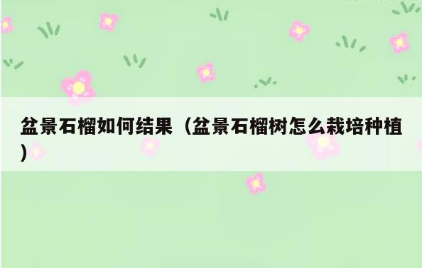 盆景石榴如何结果(盆景石榴树怎么栽培种植)