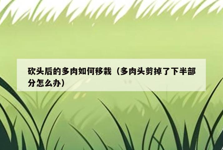 砍头后的多肉如何移栽(多肉头剪掉了下半部分怎么办)