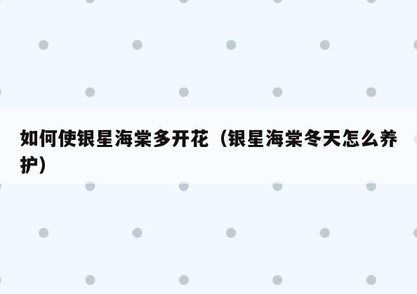 如何使银星海棠多开花(银星海棠冬天怎么养护)