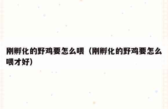 刚孵化的野鸡要怎么喂(刚孵化的野鸡要怎么喂才好)