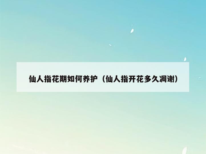 仙人指花期如何养护(仙人指开花多久凋谢)