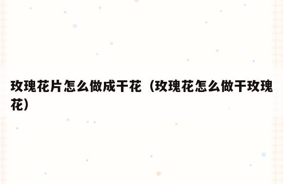 玫瑰花片怎么做成干花(玫瑰花怎么做干玫瑰花)