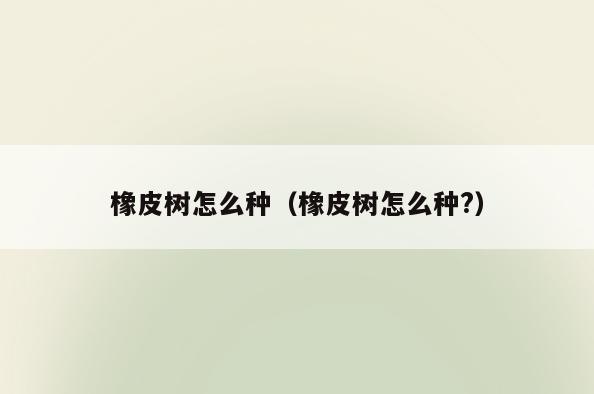 橡皮树怎么种(橡皮树怎么种?)