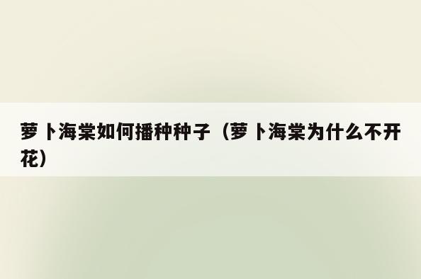 萝卜海棠如何播种种子(萝卜海棠为什么不开花)