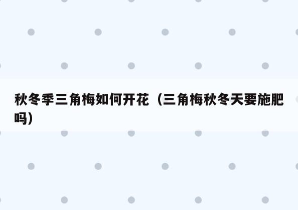 秋冬季三角梅如何开花(三角梅秋冬天要施肥吗)