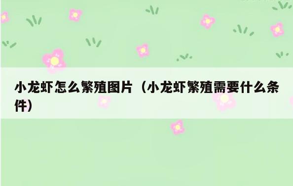 小龙虾怎么繁殖图片(小龙虾繁殖需要什么条件)