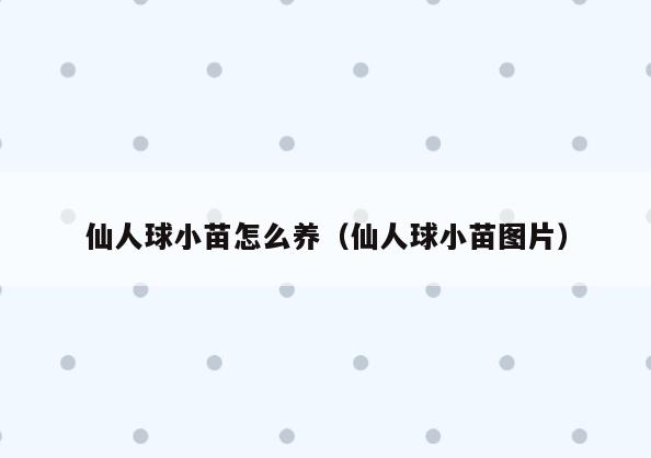 仙人球小苗怎么养(仙人球小苗图片)