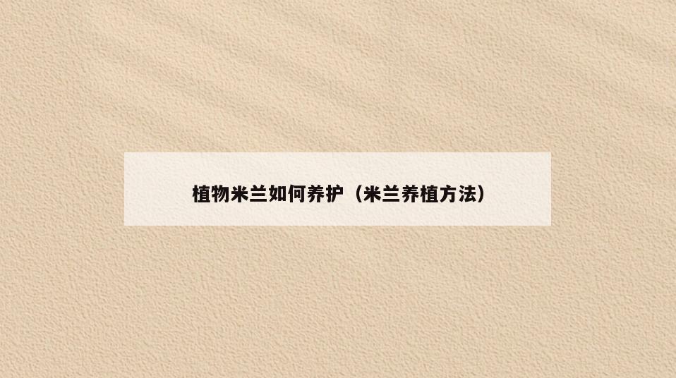 植物米兰如何养护(米兰养植方法)