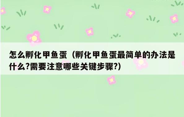 怎么孵化甲鱼蛋(孵化甲鱼蛋最简单的办法是什么?需要注意哪些关键步骤?)