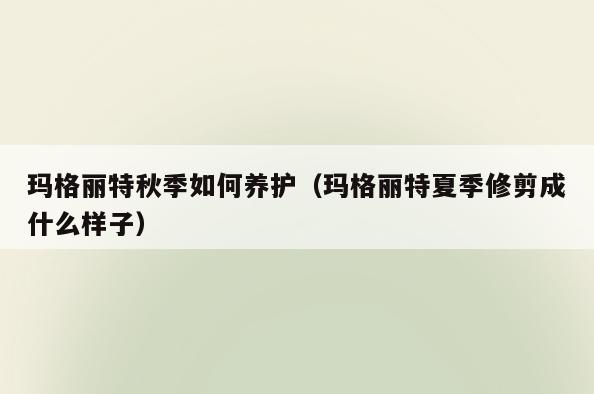 玛格丽特秋季如何养护(玛格丽特夏季修剪成什么样子)