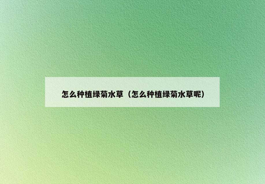 怎么种植绿菊水草(怎么种植绿菊水草呢)