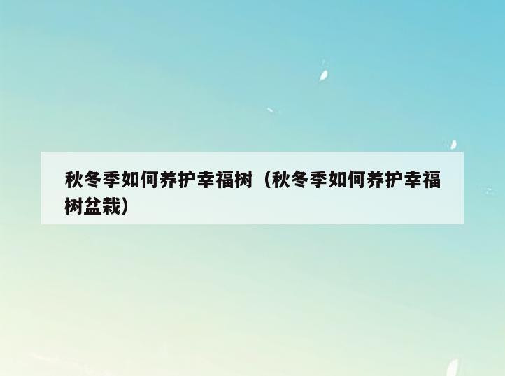 秋冬季如何养护幸福树(秋冬季如何养护幸福树盆栽)