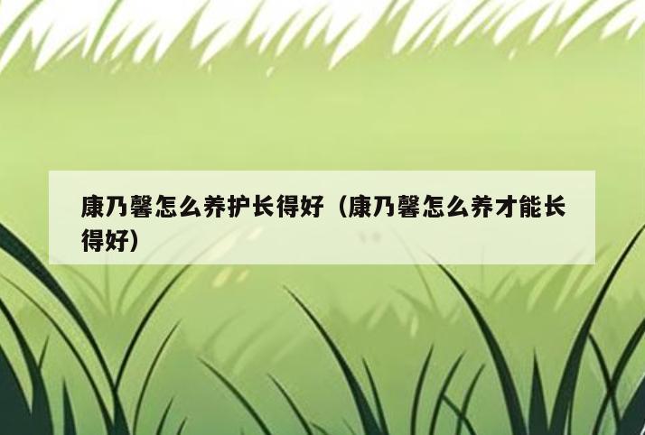 康乃馨怎么养护长得好(康乃馨怎么养才能长得好)