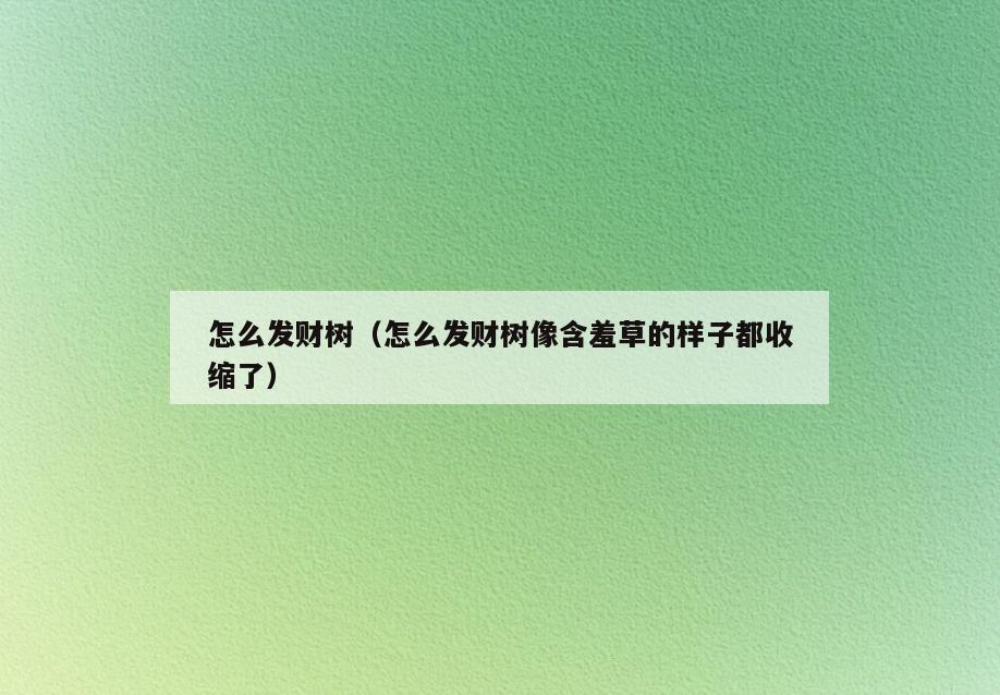 怎么发财树(怎么发财树像含羞草的样子都收缩了)