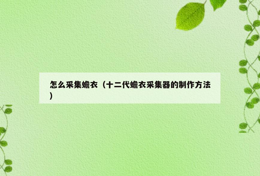 怎么采集蟾衣(十二代蟾衣采集器的制作方法)