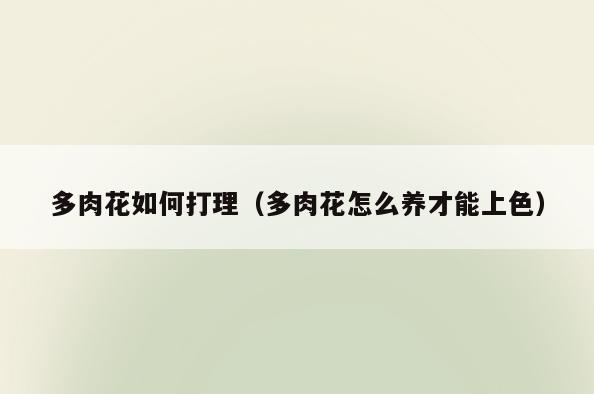 多肉花如何打理(多肉花怎么养才能上色)