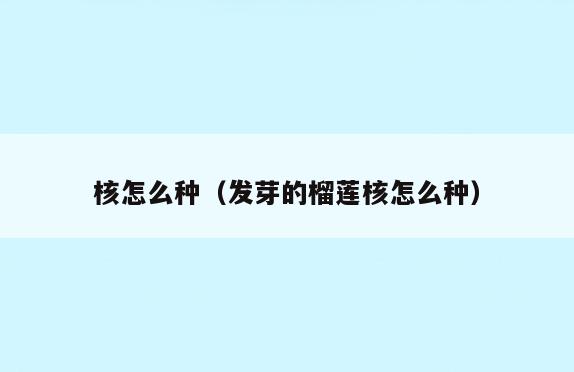 核怎么种(发芽的榴莲核怎么种)