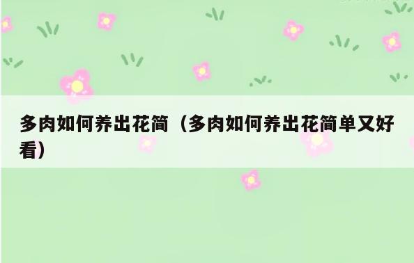 多肉如何养出花简(多肉如何养出花简单又好看)