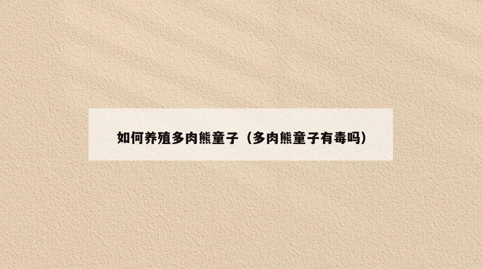 如何养殖多肉熊童子(多肉熊童子有毒吗)