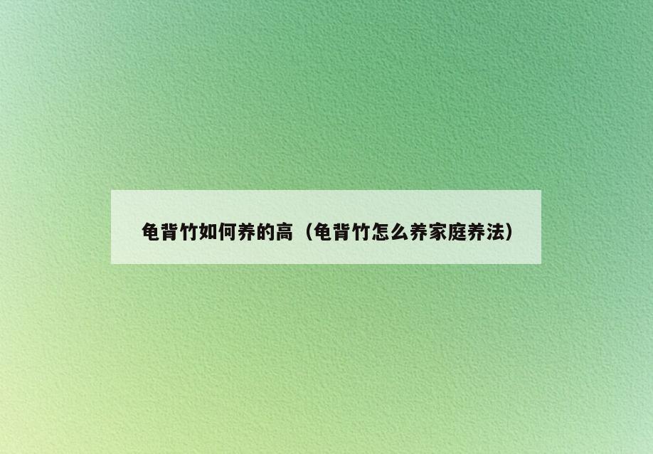 龟背竹如何养的高(龟背竹怎么养家庭养法)