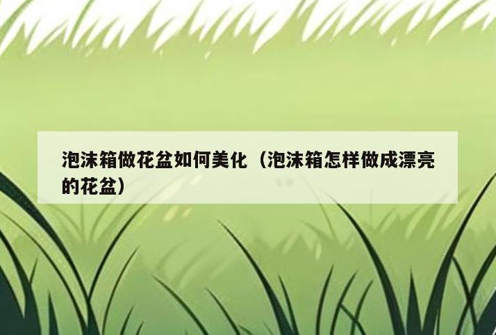 泡沫箱做花盆如何美化(泡沫箱怎样做成漂亮的花盆)