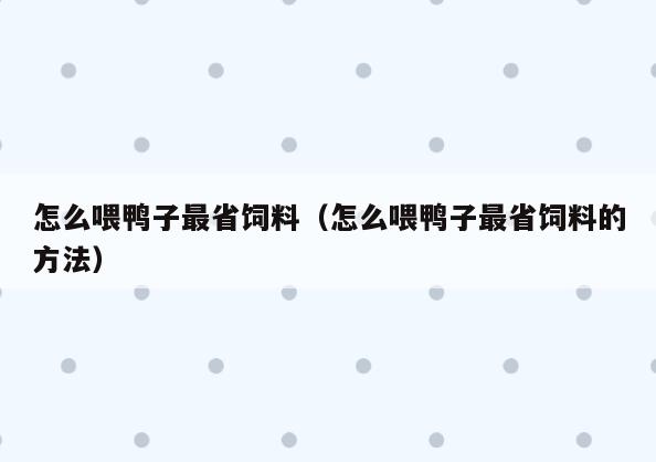 怎么喂鸭子最省饲料(怎么喂鸭子最省饲料的方法)