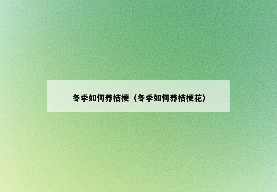 冬季如何养桔梗(冬季如何养桔梗花)