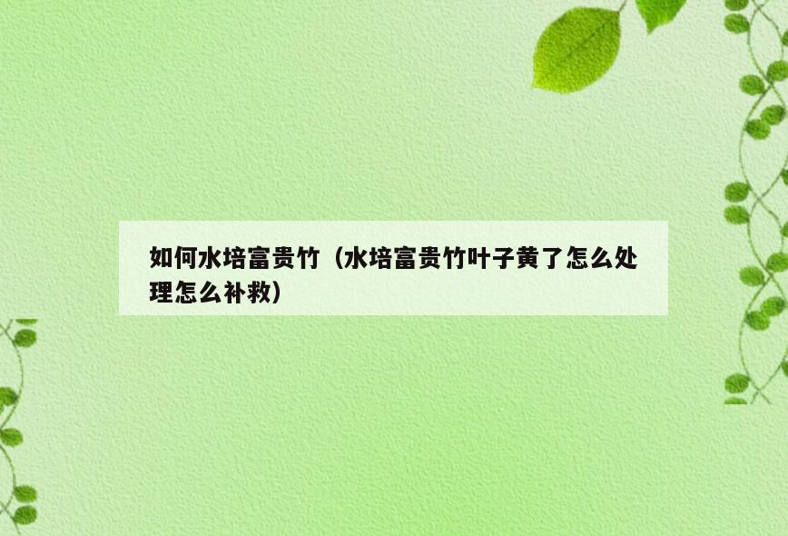 如何水培富贵竹(水培富贵竹叶子黄了怎么处理怎么补救)