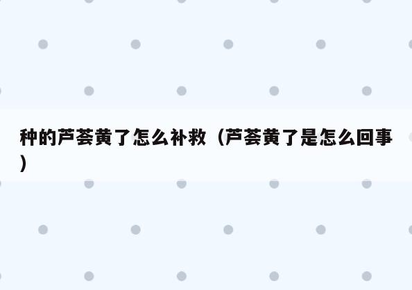 种的芦荟黄了怎么补救(芦荟黄了是怎么回事)