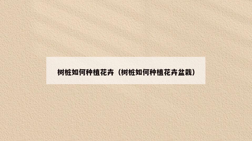 树桩如何种植花卉(树桩如何种植花卉盆栽)