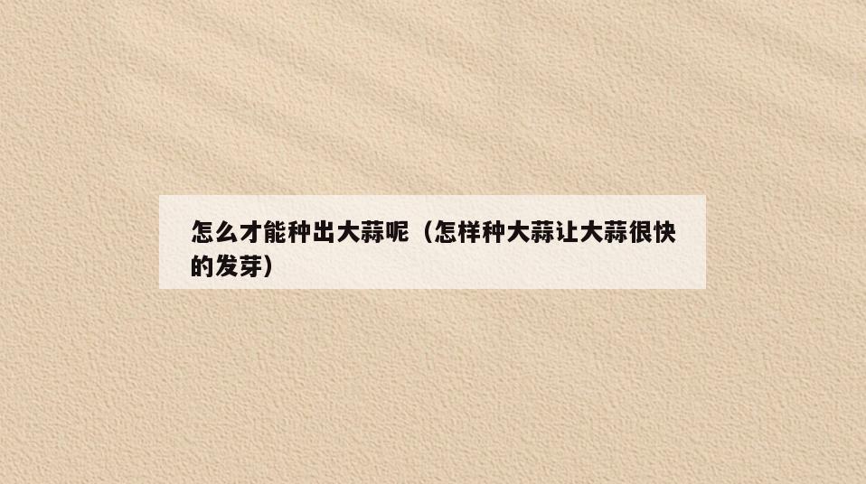 怎么才能种出大蒜呢(怎样种大蒜让大蒜很快的发芽)