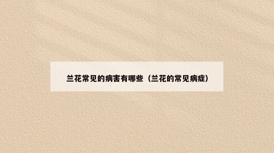兰花常见的病害有哪些(兰花的常见病症)