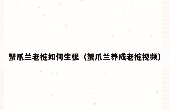 蟹爪兰老桩如何生根(蟹爪兰养成老桩视频)