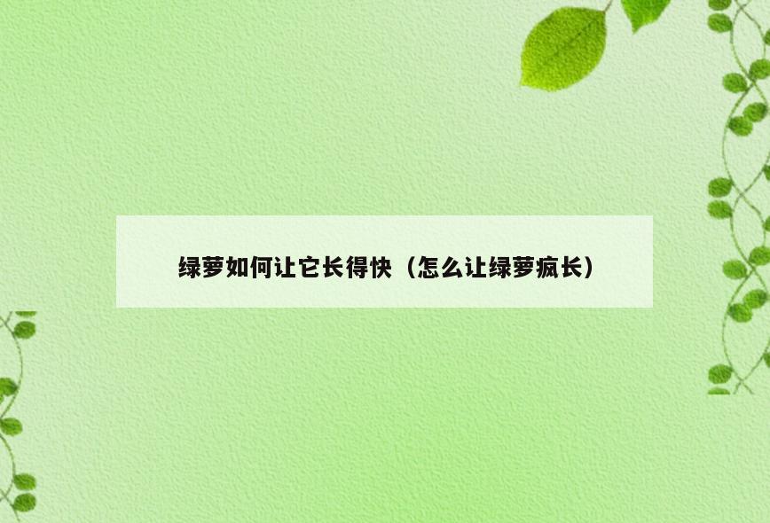绿萝如何让它长得快(怎么让绿萝疯长)