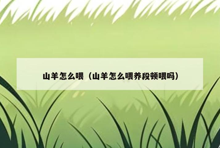 山羊怎么喂(山羊怎么喂养段顿喂吗)