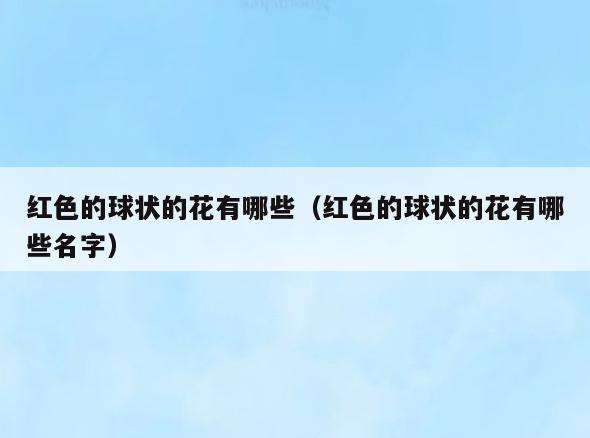 红色的球状的花有哪些(红色的球状的花有哪些名字)
