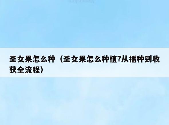 圣女果怎么种(圣女果怎么种植?从播种到收获全流程)
