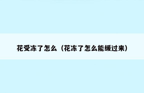 花受冻了怎么(花冻了怎么能缓过来)