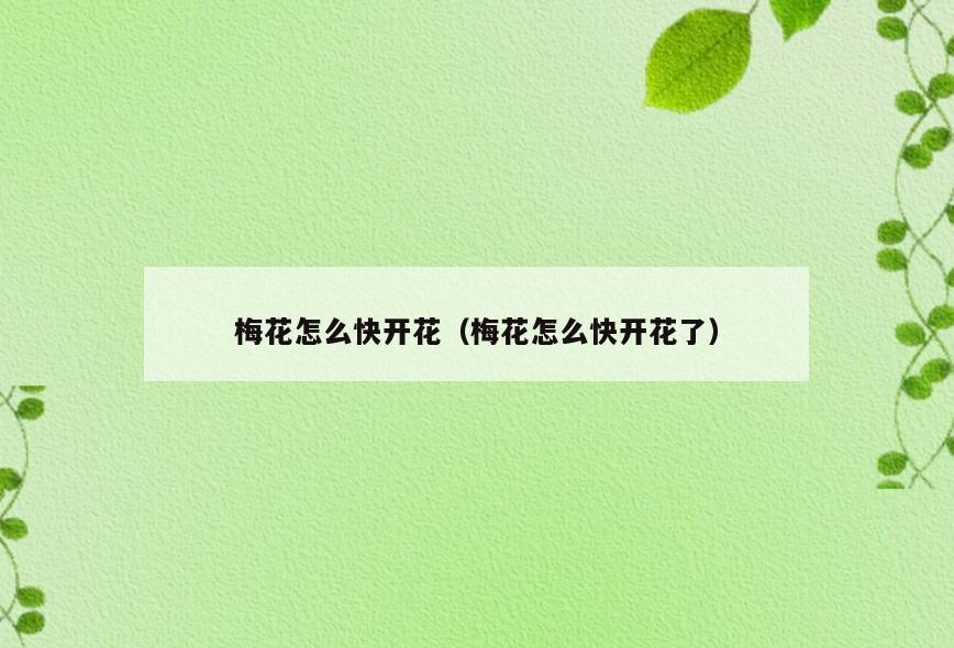 梅花怎么快开花(梅花怎么快开花了)