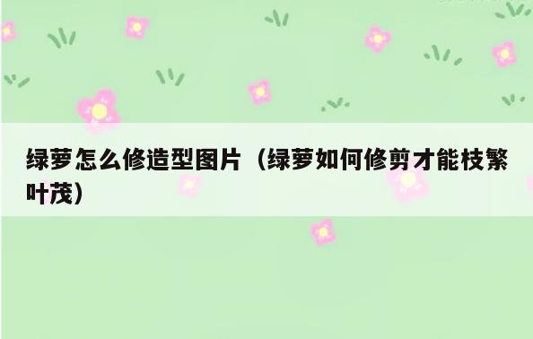 绿萝怎么修造型图片(绿萝如何修剪才能枝繁叶茂)
