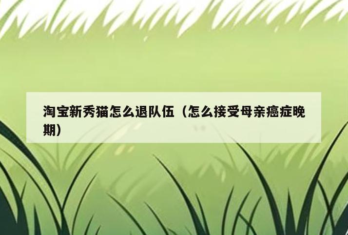 淘宝新秀猫怎么退队伍(怎么接受母亲癌症晚期)
