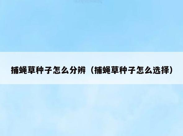 捕蝇草种子怎么分辨(捕蝇草种子怎么选择)